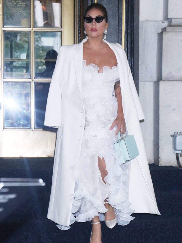 Образ Леди Гага